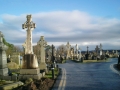 06_Cimitero Cattolico di Belfast
