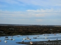 05_Parco Naturale di Ria Formosa