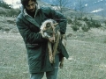Luigi Boitani con lupo appenninico Canis lupus italicus Ricerca sul lupo WWF, PNA