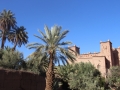 07_Kasbah Amridil-Ouarzazate- Skoura